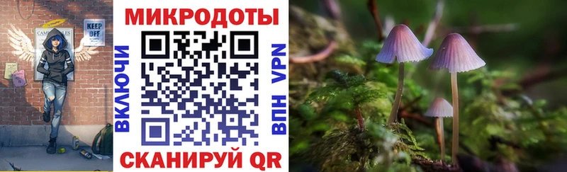 Купить  Аша  Псилоцибиновые грибы Psilocybine cubensis 